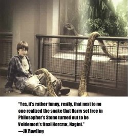 This is a false rumor.  The snake Harry set free was a python,