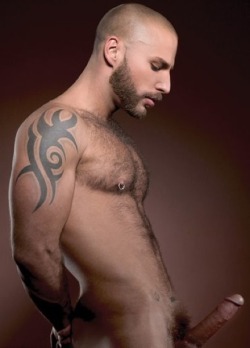 http://64.media.tumblr.com/tumblr_los23w1VGV1qj8ghmo1_r1_500.jpg