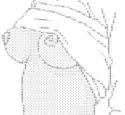 ascii art ftw.