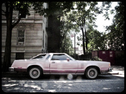 emmanuelblackwell:  pink champagne. | I <3 NY | throop avenue