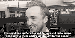 icumnutella:   Tom Felton when asked if he’s an animal lover