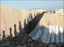 al-qudseya:   The wall stands at 8 to12m or 26 to 39 feet high