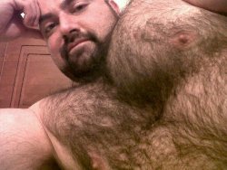 gymbear:  Chris Stutz 