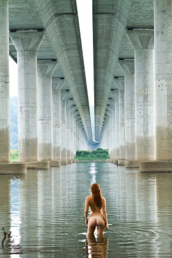 specialnudes:  Below the noisy freeway is serenity. 