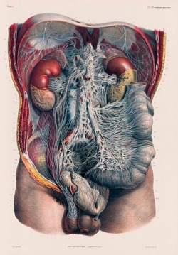 moshita:  Atlas of Human Anatomy and Surgery, 1831-1854 Jean-Marc