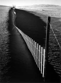 Sand Fence, Keeler, California photo by Ansel Adams, 1948  via: