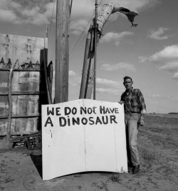 mrasmus:  thisistheupside:  WE DO NOT HAVE A DINOSAUR  Sounds