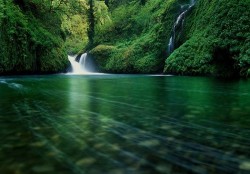 souls-of-my-shoes:  tranquility of nature 