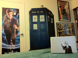 I may have gone a little overboard with the Doctor Who room decorations…