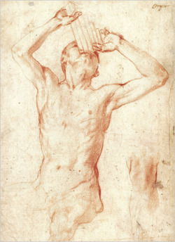 mermanonfire:  The Drawings of Bronzino “Seated Nude Youth