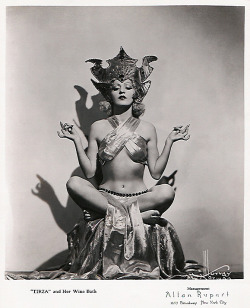 burleskateer:  Tirza (and Her Wine Bath)        aka. &ldquo;The Wine Dancer&rdquo;.. 