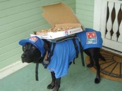 avengersonna:  The cutest delivery boy 