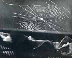 firsttimeuser:  Man Ray “There is no progress in art, any more
