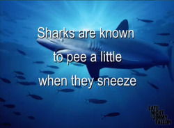 latenightjimmy:  We love Shark Week. Here’s some shark facts