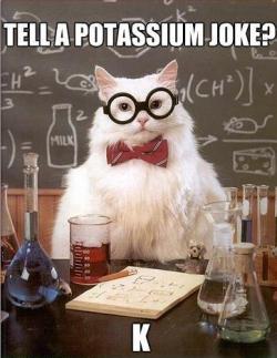 memejelly:  Introducing Chemistry Cat 