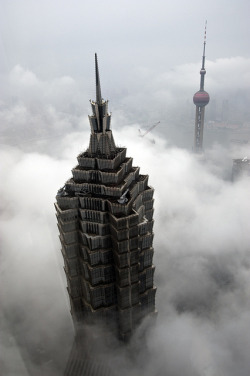 jianchen1230:  jin mao tower and shanghai tv tower by Gaellery