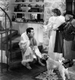superbestiario:  Bringing Up Baby starring Cary Grant and Katherine