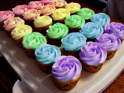 notoriouscupcakes:  rainbow rose frosting cupcakes 