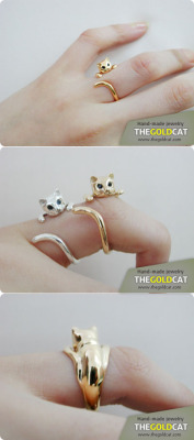 petpetpet:   Silver Nabi Cat Ring  someone get me away from the