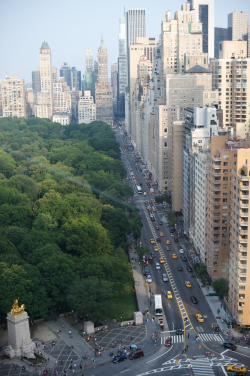 this reminds me… central park about 10 years ago. hair