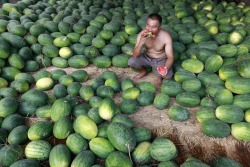 picturesoftheday:  A vendor ate a watermelon Tuesday at a market