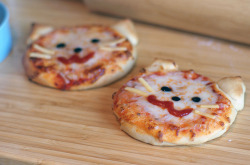 CHEESE WHISKERS! - LOVE!