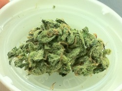 thatsgoodweed:  Strain Name: Green Crack