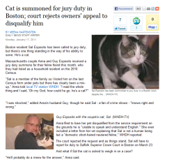 smiletowardstheheavens: toralei: jury duty cat  