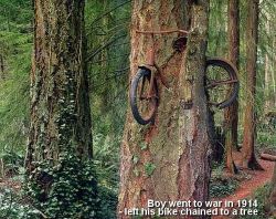 beautilation:   A boy left his bike chained to a tree when he