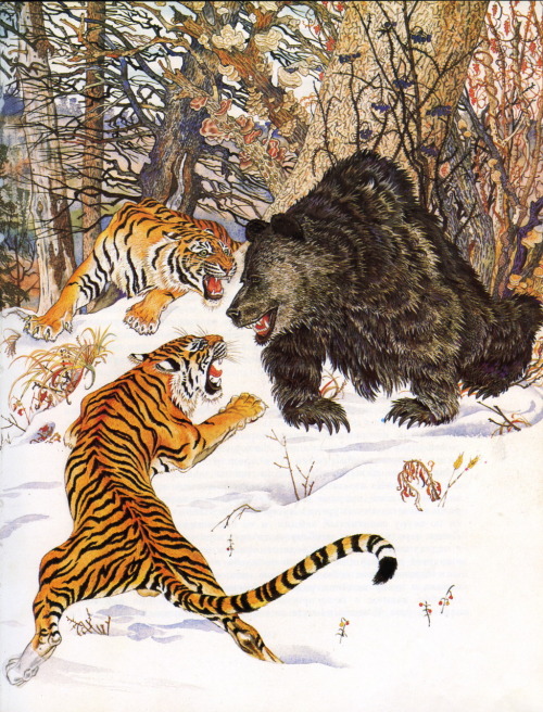 medacris:  quincourier:  by G. Pavlyshyn (Г.Павлишин)  Russian art, tigers, and bears. How can I not reblog?  Russian art, tigers and bears?Oh my! :3‘Scuse me while I hhnnggg at the details here. 
