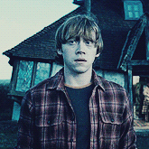 fiftyshadesen:  Everything is Ronald Weasley and Nothing Hurts.Ronald