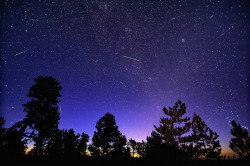 spacettf:  Morning Meteors of the Perseid Kind by Fort Photo