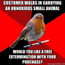 fuckyeahretailrobin:  [image description: background is several triangles in a circle like a pie alternating from true red, scarlet and black. a robin is sitting on his perch looking to the right.top text: “customer walks in carrying an obnoxious small