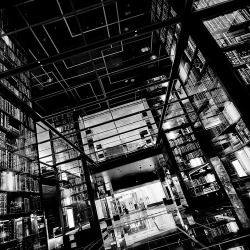 chingus:  All Those Books, Plate 2 by Thomas Hawk 