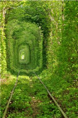 witchsauce:  Train Tree Tunnel, Urkraine  Photo by Oleg Gordienko