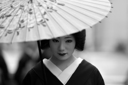 geisha-licious:  Mamechiho 