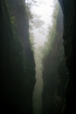 overdosage:  Canyon in Madeira Island by Virgilio Silva 