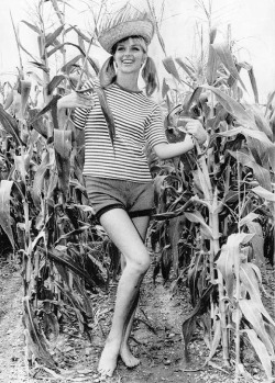 susiesnapshot:  Six-foot tall Gunn Johanssen posing with corn