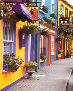 sunsurfer:  Scenic Street, County Cork, Ireland  photo via scanlon