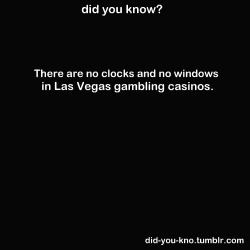 did-you-kno:  Also free alcohol is provided to the gamblers.