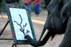 idkwtfis:  TIL: I have less artistic ability than an elephant. 