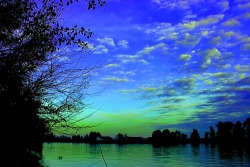 Being and Nothingness.