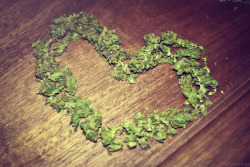 420hunnys:  for the love of weed 