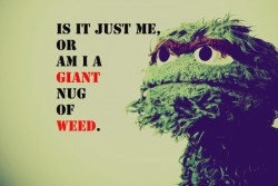 laithhpoetry:  LOOOOOOOL oscar the grouch. OG kush