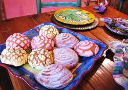 alicethenightowl:  i love pandulce 