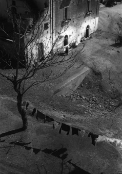 A House on the Edge of the Village of Irsina Basilicata photo