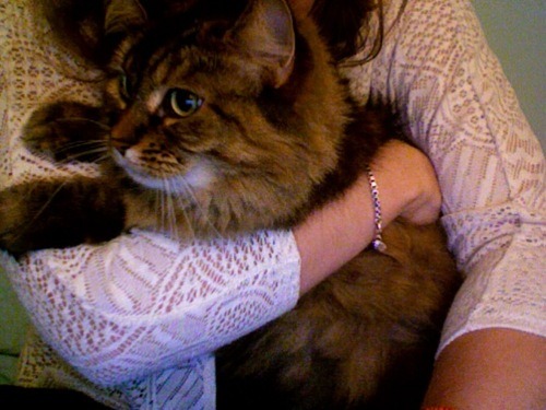 kitty!