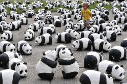 nationalpost:  Photos of the day A child runs amongst some of