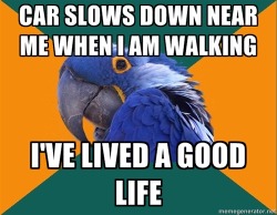 megustamemes:  Paranoid Parrot Follow this blog for more memes