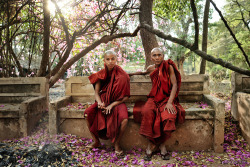 e-xplore:  Two generations of monks sit on an ancient stone seat
